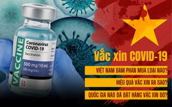 Những quốc gia nào đã đặt hàng 3 loại vắc xin Covid-19 Việt Nam định đàm phán mua?
