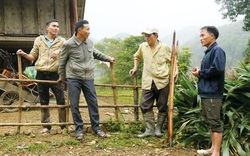 Chôn "kho báu" hơn 20 tỷ ở trên đồi, ông nông dân tỉnh Phú Thọ mới "đào" 1 phần đã đủ xây "biệt phủ"