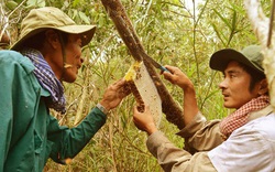 Nghề truyền thống được công nhận Di sản văn hóa: Cơ hội đổi đời với người làng nghề