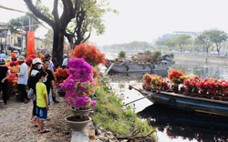 TP.HCM: Ghe hoa về bến Bình Đông sớm, nhà vườn miền Tây mong bán nhanh chừng nào mừng chừng ấy