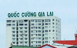 Bàn giao sản phẩm, năm 2020 Quốc Cường Gia Lai lãi ròng 82 tỷ đồng, tăng 40%