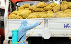 Nông dân Hải Dương, Quảng Ninh điêu đứng vì Covid-19, Bộ NNPTNT đề nghị báo cáo nhanh tình hình sản xuất