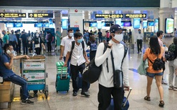 Giá vé bay Tết các hãng Vietnam Airlines, Vietjet, Bamboo Airways bất ngờ tăng dựng đứng