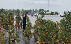 Như "ngồi trên đống lửa", tiểu thương bán đào, quất tìm cách "đẩy hàng"