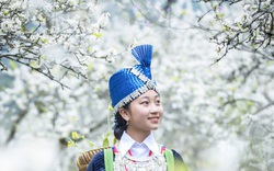 Mê mẩn với những đồi hoa mận nở trắng tinh khôi ở miền Tây Nghệ An, Mộc Châu, Vân Hồ…