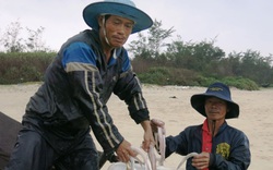 TT-Huế: Loài cá trước rẻ như cho nay thành đặc sản, có ngày trúng luồng cá dân kiếm được 30-50 triệu đồng