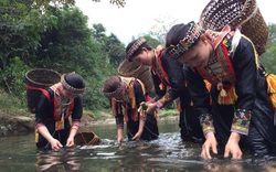 Yên Bái: Hái thứ chỉ mọc dưới nước sạch chế thành đặc sản béo ngậy, ăn một lần rồi nhớ mãi