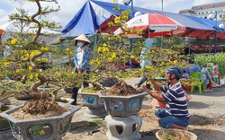 Đà Nẵng: Tiểu thương bán hoa "ngồi trên đống lửa" chờ khách mua 