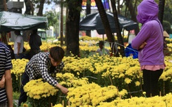 TP.HCM mưa lớn chiều 27 Tết, người bán hoa nháo nhào, đã lo càng thêm lo