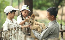 Mê mẩn ngắm sư tử con, hổ... và những góc ảnh dễ thương tại vườn thú bán hoang dã Phú Quốc
