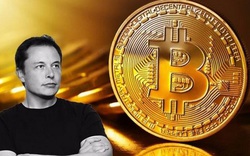 Tesla của Elon Musk đổ tỷ USD vào bitcoin: dự báo nào cho thị trường?