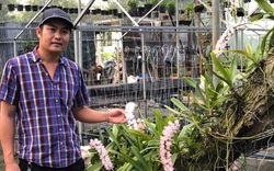 Vườn lan Khánh Nguyễn – Hoa lan rừng ngày càng được yêu thích và ưa chuộng
