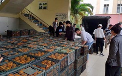 Hội Nông dân tỉnh Thanh Hóa bán hết veo 30 tấn cam sành cho nông dân Hà Giang