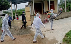 Quảng Bình: Bệnh viêm da nổi cục lan rộng 7/8 huyện, thị, tỉnh chỉ đạo “nóng”