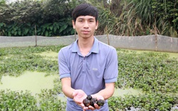 Hà Tĩnh: Nuôi con 4 tháng không cần ăn vẫn sống, một ông nông dân bỏ túi nửa tỷ đồng mỗi năm