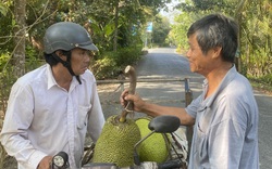 Giá mít Thái hôm nay 12/3: Giá mít tăng dần đều như trêu ngươi, người trồng mít Thái nói câu bất ngờ