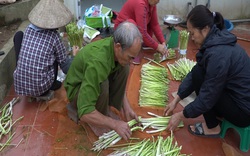 Một số lưu ý khi trồng măng tây giúp nông dân "mở mắt thu tiền triệu mỗi sáng"