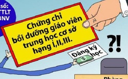 "Chứng chỉ chức danh nghề nghiệp không có lỗi, nhưng…"