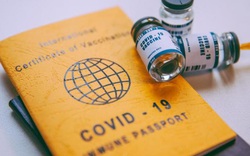 Nhiều nước đình chỉ tiêm vắc xin Covid-19 AstraZeneca, WHO lên tiếng