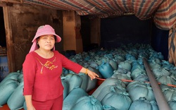 600 tấn hải sản tồn kho sau 5 năm sự cố Formosa: Phó Chủ tịch UBND tỉnh Quảng Trị yêu cầu xử lý nghiêm
