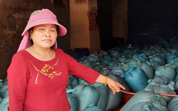 5 năm sau sự cố môi trường biển Fomorsa: Hàng trăm tấn hải sản tồn kho, hôi thối chưa được tiêu huỷ ở Quảng Trị