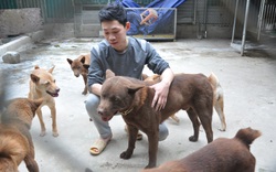 CLIP: Cận cảnh chú chó được ví như "thần may mắn" của người Mông huyện biên giới, trị giá 200 triệu đồng