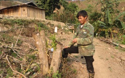 Sơn La: Bị phát hiện chặt phá vườn cây, đối tượng còn dùng dao truy đuổi lại chủ