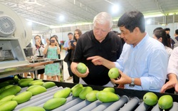 Loại quả có nhiều ở Đồng Tháp được Mỹ mua ngày càng nhiều với giá cao nhất tới 2,06 USD/kg, là quả gì?