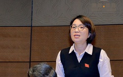 Vì sao nữ đại biểu Phú Yên từng tranh luận nảy lửa trên nghị trường không tái cử ĐBQH?
