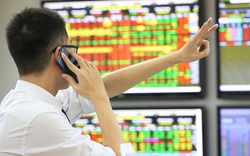 VN-Index 'phá đỉnh' lên mốc 1.216 điểm, cổ phiếu 'vua' dẫn dắt thị trường
