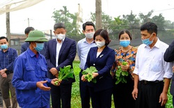 5 huyện Hà Nội sắp lên quận là những huyện nào, đều được Thủ tướng công nhận huyện nông thôn mới? 