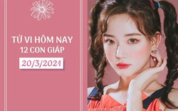 Tử vi 12 con giáp ngày 20/3/2021: Tý gặp phiền phức, Mùi tình tiền đều đạt