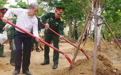 TT-Huế: Hưởng ứng phong trào "Mai vàng trước ngõ", mỗi đơn vị quân đội trồng ít nhất một vườn mai vàng 