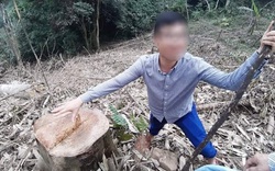 Phú Thọ: Yêu cầu điều tra việc phá rừng, lợi dụng san nền khai thác khoáng sản