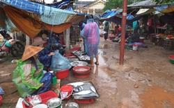Quảng Trị: Chợ 3,9 tỷ đồng bị bỏ hoang, dân bán ở chợ xép nhếch nhác