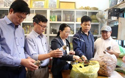 Phó Chủ tịch Hội Nông dân Việt Nam thăm nơi nào ở Hà Nội mà cả làng cùng làm chỉ 1 nghề?