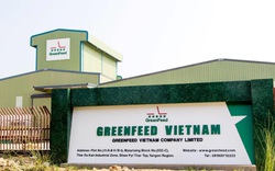 Greenfeed Việt Nam: DN thức ăn chăn nuôi mà IFC muốn rót 180 triệu USD có gì hấp dẫn?