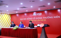 MSB đặt mục tiêu lợi nhuận 2021 tăng 30%, trình phương án tăng vốn điều lệ thông qua trả cổ tức bằng cổ phiếu