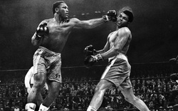 Vì sao Muhammad Ali từ chối đi lính trong Chiến tranh Việt Nam?