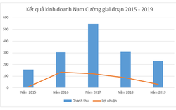 Tập Đoàn Nam Cường: Kinh doanh tụt dốc, lợi nhuận "siêu mỏng" và dòng tiền âm nặng