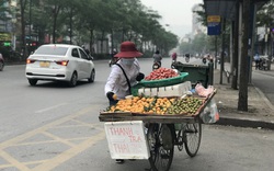 "Sốt" thanh trà dọc vỉa hè Hà Nội, giá 200.000 đồng/kg