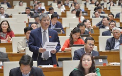 ĐBQH Nguyễn Anh Trí: "Cảm động vô cùng với một vị Tổng Bí thư, Chủ tịch nước có mái đầu bạc trắng hiên ngang"