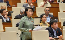 Đại biểu Quốc hội băn khoăn "vì sao nhiệm kỳ tới lãnh đạo Quốc hội không có nữ"