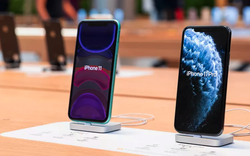 iPhone 11 giảm giá sốc, khách hàng Việt bị thu hút mạnh
