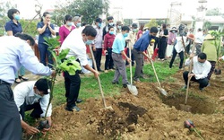 Quảng Nam: Cán bộ, hội viên nông dân Điện Bàn trồng 4.000 cây ăn quả