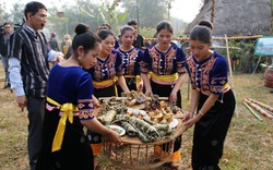 Hà Nội: Tháng 3, múa xòe, nhảy sạp, diễn tấu cồng chiêng được diễn ra tại Làng văn hoá