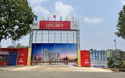Nợ thuế ‘khủng’ ở Đồng Nai, LDG Group triển khai dự án LDG Sky ở Bình Dương thế nào?