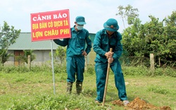 Nghệ An: Ngày nào cũng phải khiêng lợn đi tiêu hủy, đâu là nơi "nóng" nhất dịch tả lợn châu Phi?