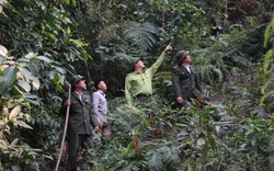 BQL rừng đặc dụng – phòng hộ Thuận Châu: Chủ động PCCCR mùa hanh khô