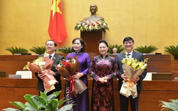 6 thay đổi Bộ trưởng, Trưởng ngành trong nhiệm kỳ Chính phủ 2016-2021